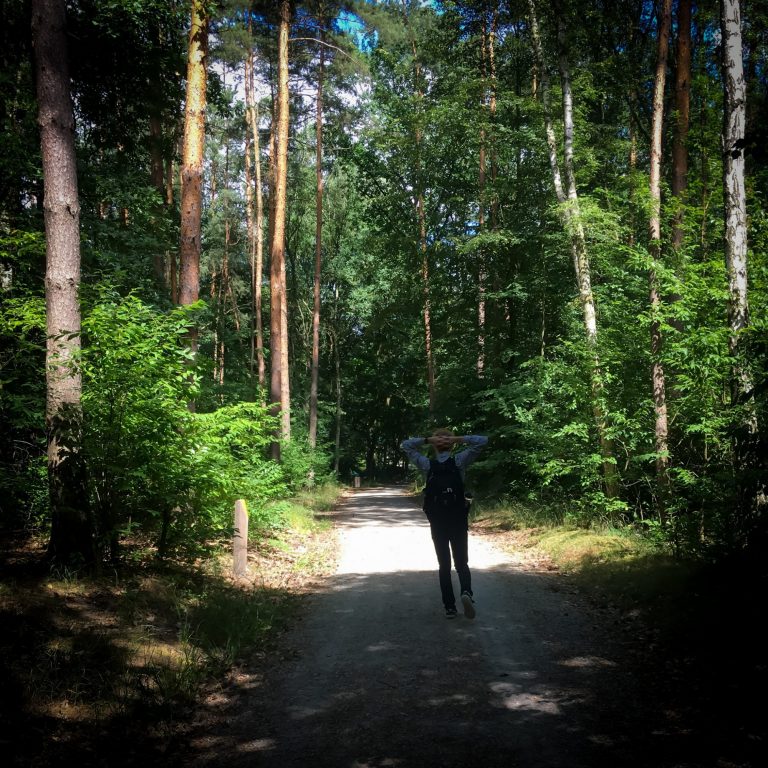 IMG 6340 e1573996867214 768x768